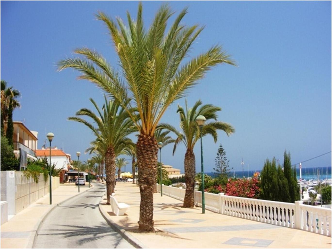 Torre De La Horadada - Modern And Comfortable 2 Bedroom Apartment Close To The Beach Torre de la Horadada Buitenkant foto